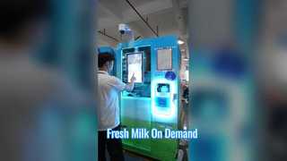 Distributeur automatique de lait frais Haloo | Conception de grande capacité de tasse du système de stockage du lait 120L 175 automatique