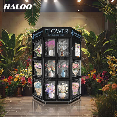 Machine à vendre de fleurs Haloo avec fonction SDK, corps en acier inoxydable avec système de refroidissement et d'humidification
