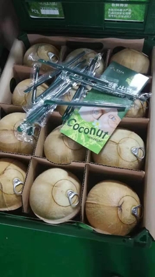 Distributeur automatique de fruits frais d'OEM combiné avec le réseau du casier 4G